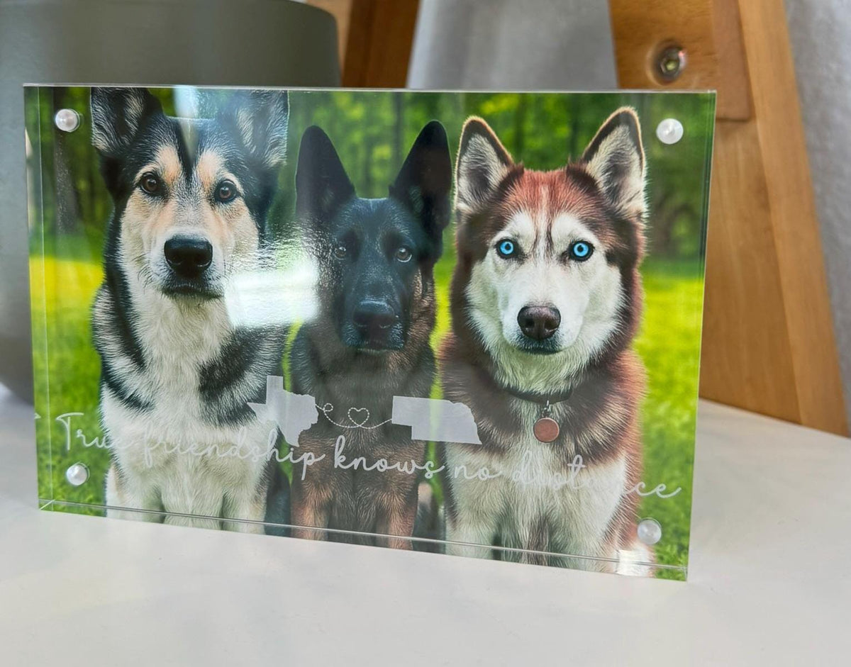 Long Distance Friendship Acrylic Frame, Personalized Best Friend Gift