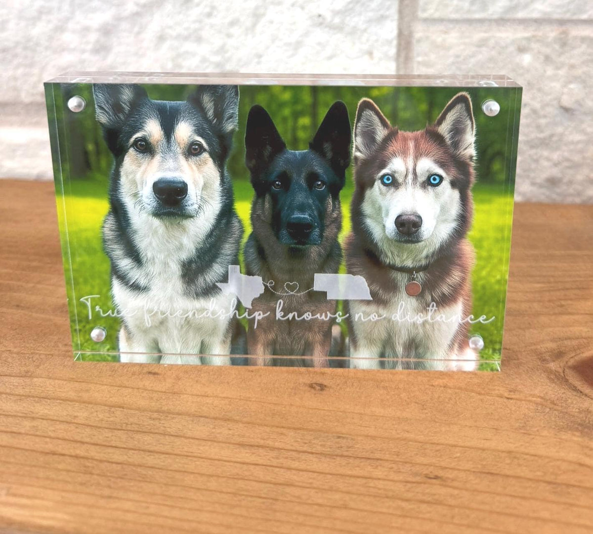 Long Distance Friendship Acrylic Frame, Personalized Best Friend Gift